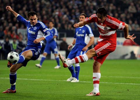 要专业的治 要专业的治